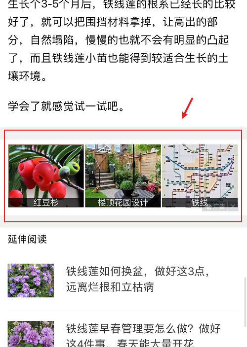 学会看广告,不仅能发现商机还能提升认知! 广告 赚钱 营销 思考 经验心得 第1张 学会看广告,不仅能发现商机还能提升认知! 广告 赚钱 营销 思考 经验心得 第1张